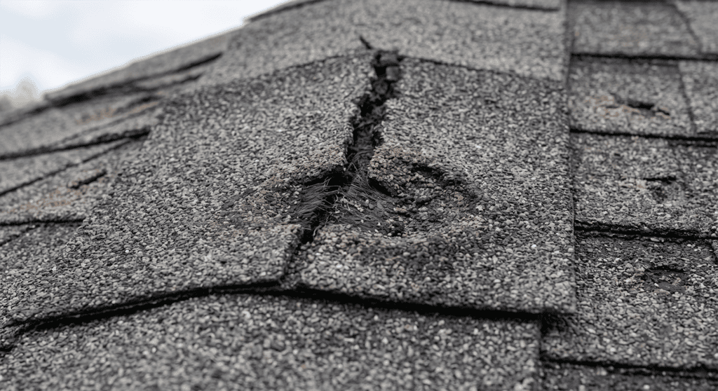 Split shingle with exposed asphalt, showing impact bruising from hail strike